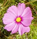 Beispiel für eine zweifache Anwendung des Wert invertieren Filters